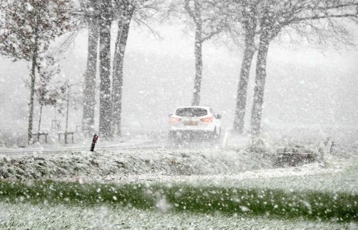 La primera nevada deja una alfombra blanca en Limburgo: código amarillo para condiciones resbaladizas esta noche y esta noche durante la primera inyección invernal