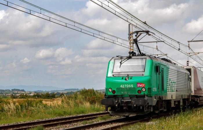 Un joven de 21 años murió tras ser atropellado por un tren en un paso a nivel