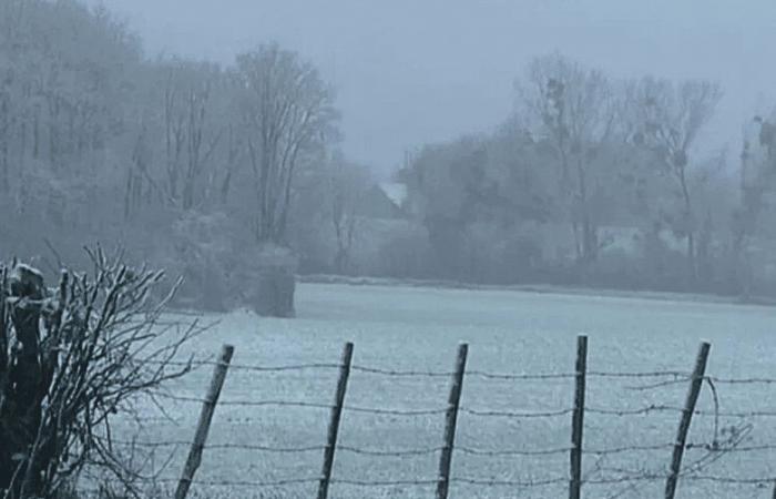 La nieve llega a Mayenne, Sarthe, Loira Atlántico y Maine y Loira, un clima inusual para el mes de noviembre