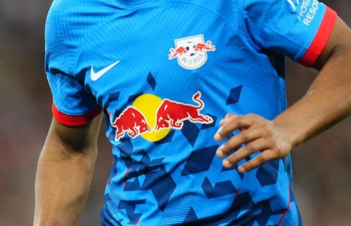 Paris FC – ¿La llegada de Red Bull a la Ligue 2 es la entrada del lobo en el redil?