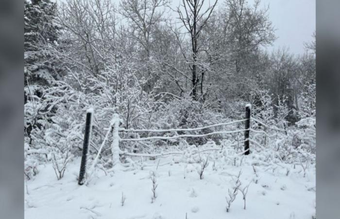 Clima de Manitoba: fuertes nevadas y fuertes vientos en el oeste de Manitoba