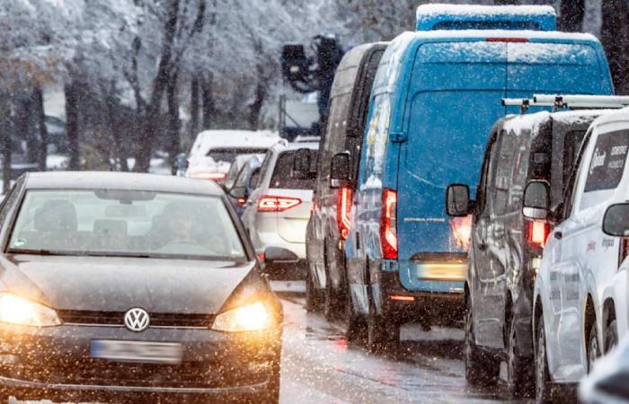 Clima: ¡ola de frío! ¡Nieve! Cuidado, aquí hay hielo negro. Noticias