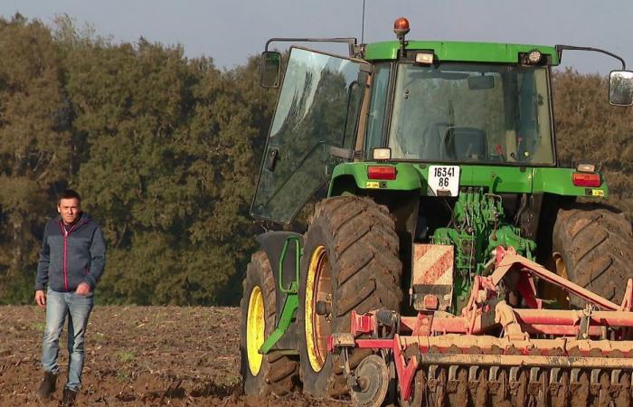 ¿Qué ayuda brindan las Cámaras Departamentales de Agricultura y cuál es su papel?