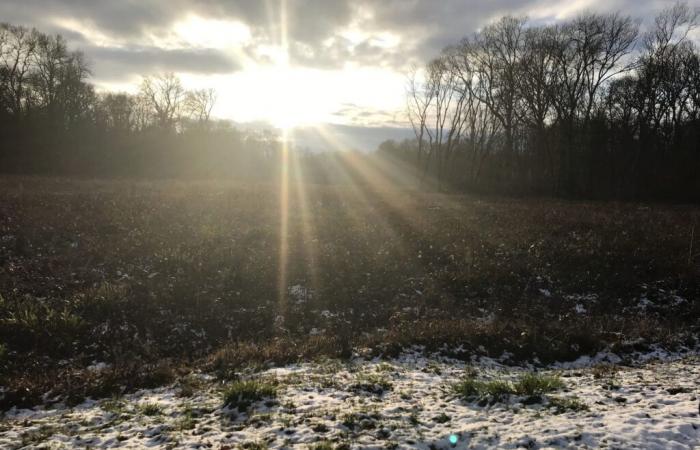 Aviso amarillo por “Nieve-Hielo” y “Viento fuerte” en el Jura, este jueves 21 de noviembre | Jura: toda la información local