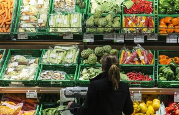 Suiza: la especulación no influye de manera importante en las fluctuaciones de los precios de los alimentos