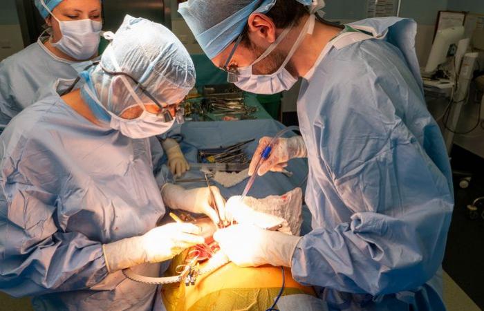 El Hospital Universitario de Burdeos realizó el primer trasplante renal triple cruzado en Francia