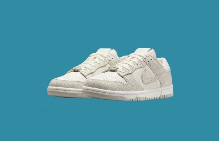 ¿Error de precio para estos últimos Dunk Lows? Nike pega fuerte