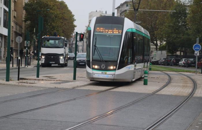 El tranvía T8 está parcialmente interrumpido por hojas muertas, anuncia la RATP