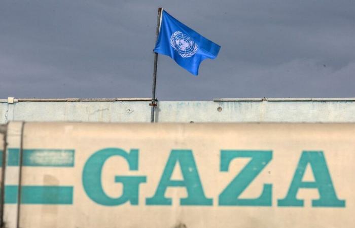 Cómo se prepara la UNRWA para el fin de sus actividades en los territorios palestinos ocupados