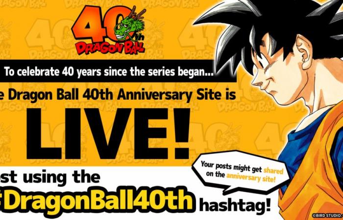 Abierta la web oficial por los 40 años de Dragon Ball – Dragon Ball Super