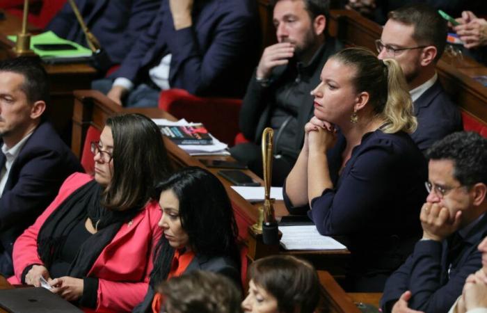 La Francia insumisa obtiene en la Asamblea la creación de un grupo de amistad entre Francia y Palestina