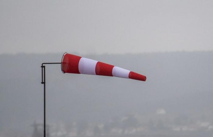 Vientos violentos: el departamento de Isère puesto en alerta naranja por Météo France