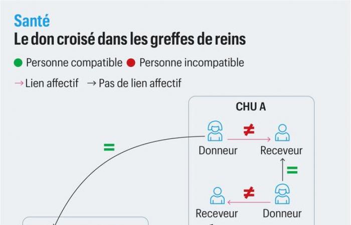 El Hospital Universitario de Burdeos realizó el primer trasplante renal triple cruzado en Francia