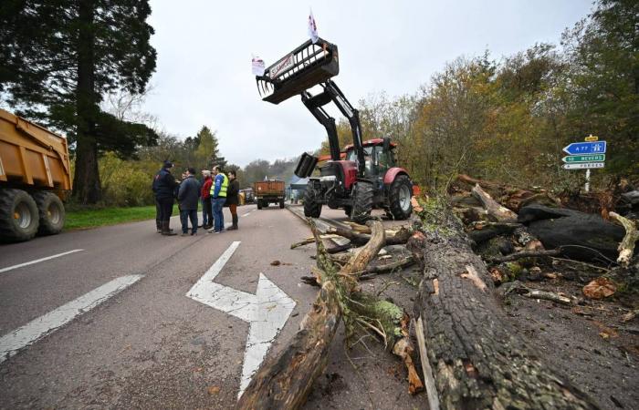 Manifestación de agricultores enojados en Nièvre, apertura del proceso de Pierre Palmade… Las noticias para recordar de este miércoles