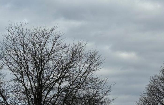 Los cambios climáticos en el valle de Shenandoah incluyen nieve y viento a partir del jueves