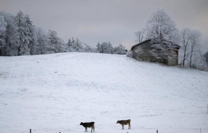 ¿Se acerca la gran nevada ahora? -Noticias