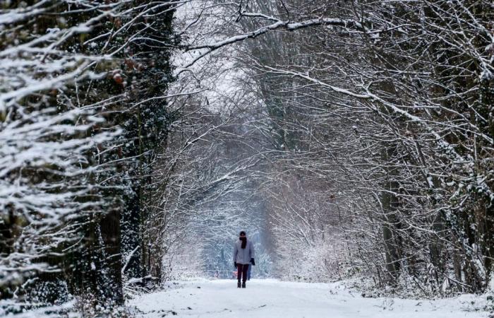 ola de frío y primeras nevadas en las llanuras