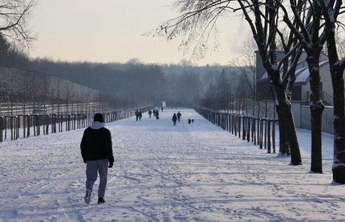 “Algunos copos”, nieve anunciada por Météo France el jueves y viernes en Oise