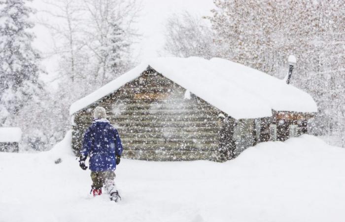 Advertencias de clima invernal para 9 estados, ya que caerán casi 3 pies de nieve