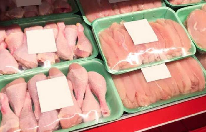 Los precios de producción de aves y huevos muestran tendencias mixtas en octubre