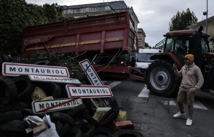 bloquear el transporte de alimentos, “secar” grandes zonas… La Coordinación Rural quiere endurecer el movimiento