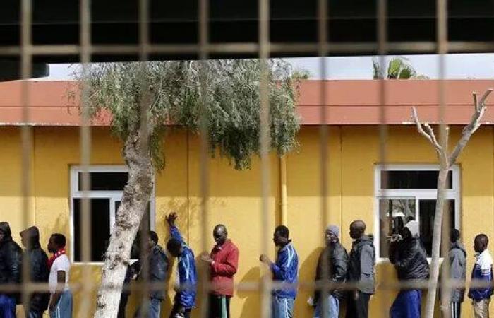 Hacia la regularización de decenas de miles de inmigrantes ilegales