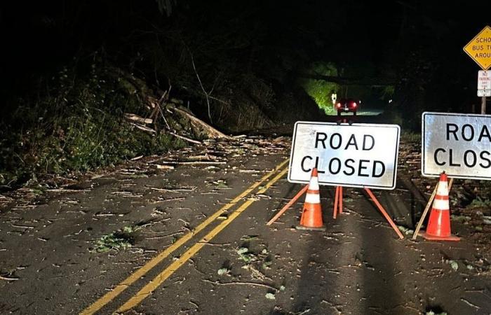 Más de 460.000 personas se quedan sin electricidad debido a que un ‘ciclón bomba’ trae fuertes vientos al oeste de Washington