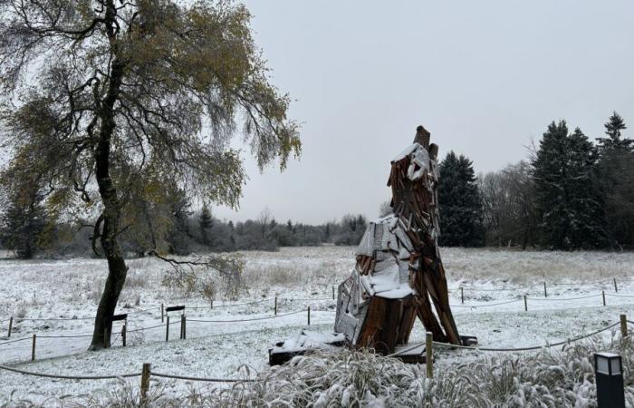 Los primeros copos de nieve han caído en Hautes Fagnes: los caminantes y el sector Horeca sonríen