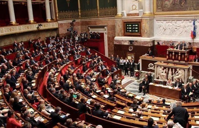 La France insoumise emprende acciones legales contra el uso del software Briefcam por parte de la policía