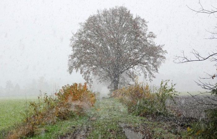 La primera nevada produce una alfombra blanca: código amarillo para condiciones resbaladizas esta noche y esta noche durante la primera inyección invernal en Flandes