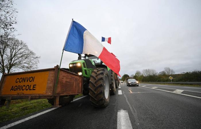 EN VIVO – Al menos seis represas están previstas en el departamento… Vive la movilización de los agricultores enojados en Nièvre