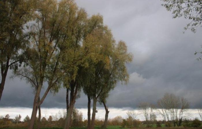 Fuertes vientos, chubascos y carreteras posiblemente resbaladizas: RMI anuncia código amarillo