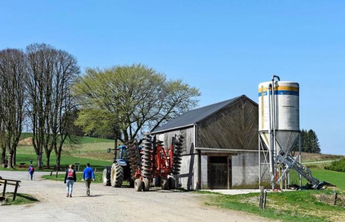 ¿Dónde se detendrán los precios de las tierras agrícolas?