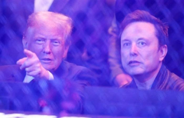 Donald Trump y Elon Musk invitados a Francia por Emmanuel Macron, en febrero de 2025: Noticias