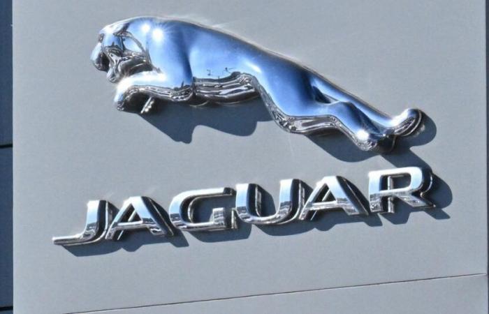 Jaguar destaca por su nueva imagen “woke”