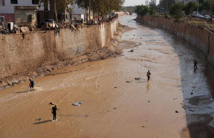 El Ministro de Ecología defiende la actuación del Gobierno durante las inundaciones.