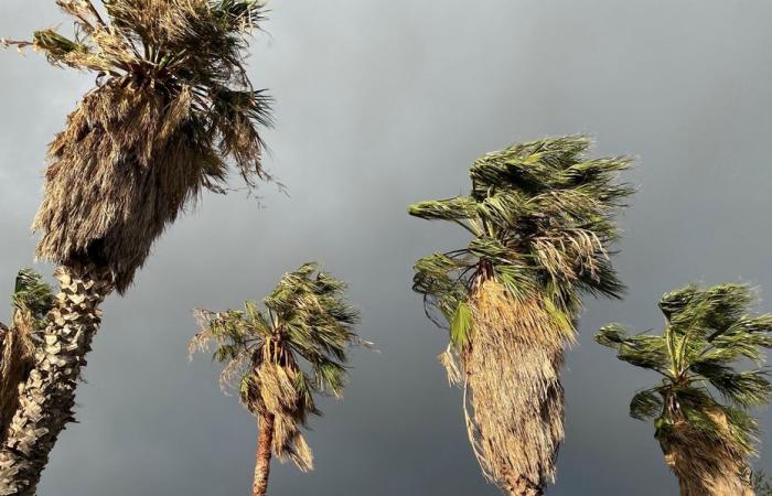 Córcega en alerta naranja por “viento” este miércoles