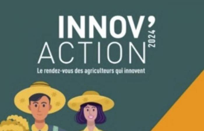 Innov’action: ingresos y diversificación agrícola en cuestión | Agricultura Macizo central