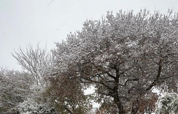 Clima en el Reino Unido: se emiten nuevas alertas de nieve y hielo mientras los meteorólogos advierten sobre más interrupciones en los viajes | Noticias del Reino Unido