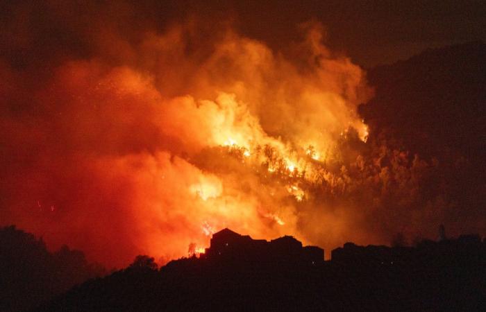 Una veintena de hectáreas ardieron en un incendio provocado por fuertes vientos en Pietra di Verde