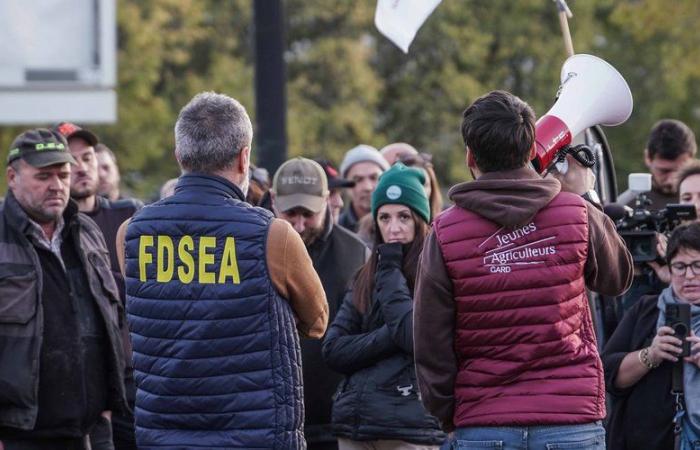 DIRECTO. Ira de los agricultores: firma del acuerdo de libre comercio, bloqueos en Occitania… siguen la jornada de movilización