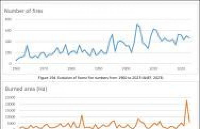 Resultados de los incendios forestales en 2023 en Europa