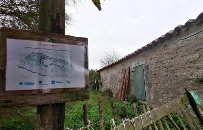 En el pantano de Brouage, una plataforma para la observación de aves y del paisaje suscita polémica