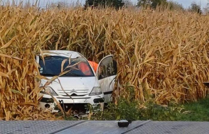 Pierde el control de su coche y acaba en un campo de maíz en Maine y Loira