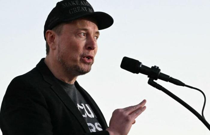 Musk quiere reducir “radicalmente” el papel del Estado federal estadounidense