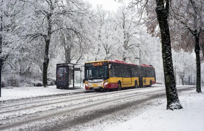 Nieve de Bretaña a Alsacia, hasta 10 cm y decenas de vigilancias este jueves