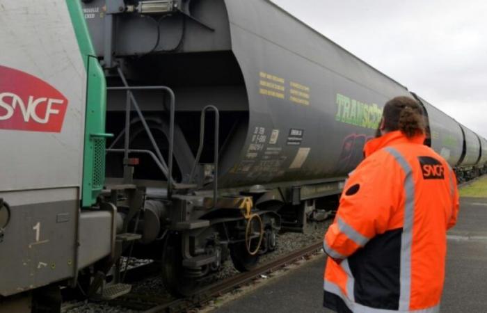 Huelga de SNCF: el movimiento de SNCF Freight siguió moderadamente en todo el grupo: Noticias