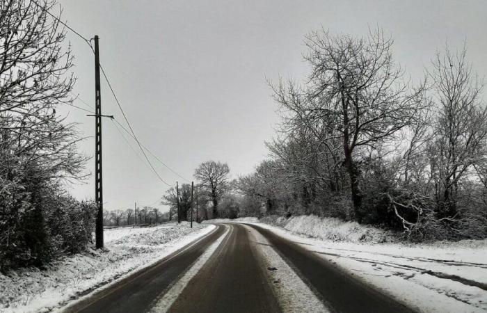 Nieve: la región de Normandía suspende sus líneas de transporte escolar este jueves en el Canal de la Mancha