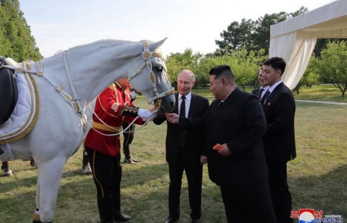 Patos, osos, loros y… un león: el extraño regalo de Vladimir Putin a Kim Jong-un