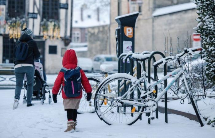 Nieve, hielo, viento: 49 departamentos puestos en vigilancia naranja desde el jueves por la mañana